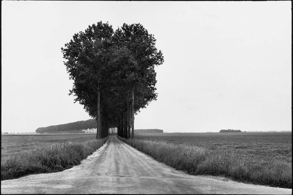 Henri Cartier Bresson Trees